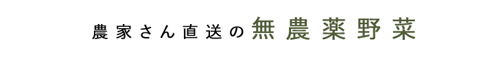 水耕栽培野菜
